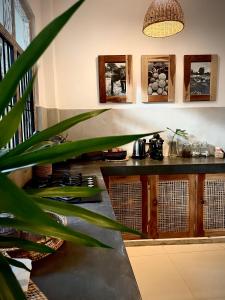 a kitchen with a counter and a plant at The Yard Hiriketiya in Hiriketiya