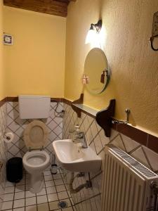 y baño con aseo, lavabo y espejo. en Diminio 2 Whole House - Chalet, en Arachova
