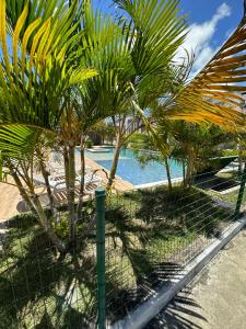 a fence with palm trees in front of a pool at casamarfrances in Praia do Frances