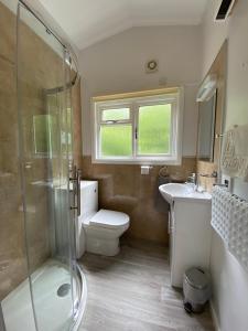 a bathroom with a shower and a toilet and a sink at Baillie Chalet on Reelig Estate Near Inverness in Kirkhill