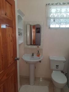 ein Badezimmer mit einem WC, einem Waschbecken und einem Spiegel in der Unterkunft Joyville in Bridgetown
