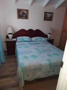 a bedroom with a bed with a blue comforter and two lamps at Joyville in Bridgetown