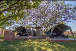 a couple of tents sitting under a tree at Bambi Lodge in Groutfontein