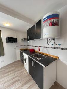 a kitchen with a sink and a washing machine at Ushuaia_aparts Depto 1 in Ushuaia