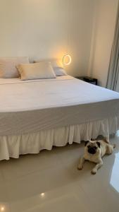 a dog laying on the floor next to a bed at Habitación en suite in Fernando de la Mora