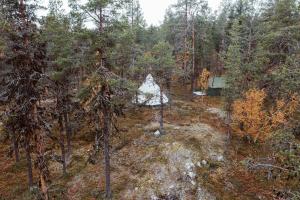 widok z powietrza na las z domem w tle w obiekcie Ainutlaatuinen metsämajoitus w mieście Enontekiö