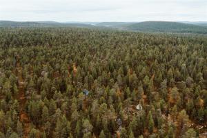 una vista aérea de un bosque de árboles en Ainutlaatuinen metsämajoitus, en Enontekiö