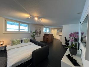 1 dormitorio con 1 cama grande en una habitación en The R Apartment Froburg, Parking, Netflix, Golfplatz en Obergösgen