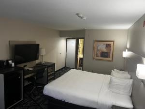 ein Hotelzimmer mit einem Bett, einem Schreibtisch und einem TV in der Unterkunft Baymont By Wyndham Monroe Ohio in Monroe