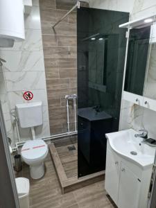 ein Bad mit einem WC, einem Waschbecken und einer Dusche in der Unterkunft Golijski Biseri in Novi Pazar