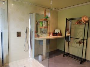 a bathroom with a shower with a counter and a sink at LA BARAQUE in Courtois-sur-Yonne +7 photos