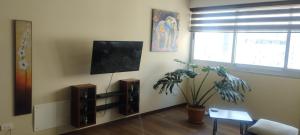 a living room with a tv and a potted plant at Acogedoras vistas al illimani, cálido y accesible in La Paz