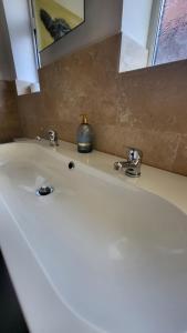 a bathroom sink with a mirror and a bottle of soap at The bolt in Newhaven