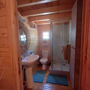 ein Bad mit einem Waschbecken, einem WC und einer Dusche in der Unterkunft Le Chalet d'EVOA in L’Étang-Salé