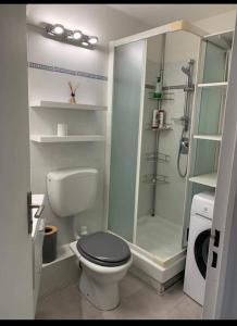 a bathroom with a shower and a toilet and a shower at Appartement T2 en bord de mer in Roquebrune-Cap-Martin