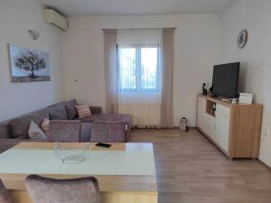 a living room with a couch and a tv at Apartmani Spomenka in Seline