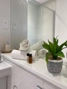 a bathroom with a plant on a counter with a mirror at Stunning 2 bed, water front Poole Quay Apartment. in Hamworthy