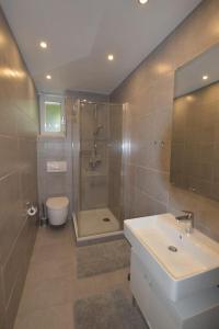 ein Bad mit einer Dusche, einem Waschbecken und einem WC in der Unterkunft Casa Carmela in Solothurn