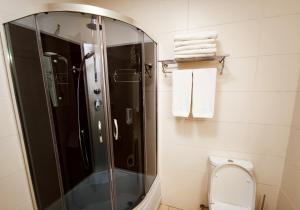 La salle de bains est pourvue d'une douche et de toilettes avec un miroir. dans l'établissement Vake Park Apartment, à Tbilissi