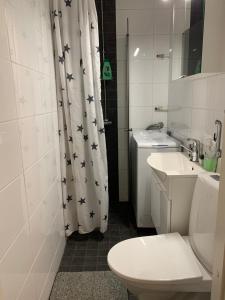 a bathroom with a toilet and a shower curtain with stars on it at StarHomes in Oulu
