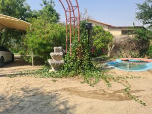 una planta que está creciendo frente a una piscina en Botanical Garden Vacation House, en Liwa