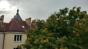 a tree in front of a house with a roof at City Break Apartment Koszalin centrum in Koszalin