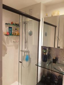 um chuveiro com uma porta de vidro na casa de banho em SUPER Conforto Praia Brava Balneario Camboriu em Itajaí
