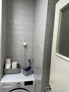 多博伊Apartman Tamara的客房内的洗衣机浴室