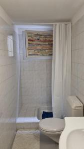 a white bathroom with a toilet and a shower at Le Palme in Monte Ceneri