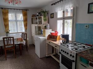 a kitchen with a stove and a refrigerator and a table at Chalupa Na Křemence in Třinec