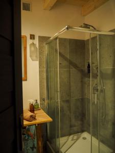 y baño con ducha y puerta de cristal. en Po Prostu Dobro, en Mrągowo