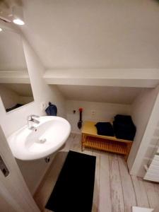 a bathroom with a white sink in a room at Modern en sfeervol appartement aan de Zoete Waters in Oud-Heverlee