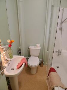 W łazience znajduje się toaleta, umywalka i prysznic. w obiekcie Olympic Games 2024_Charming Stay w mieście Fontenay-sous-Bois