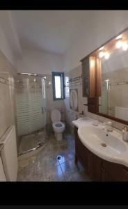 a bathroom with a sink and a shower and a toilet at La nymphe Aegina in Áyioi Asómatoi +32 photos