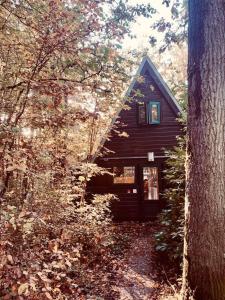 a small house in the middle of a forest at A Wood Lodge - zwembad - relax - natuur in Durbuy