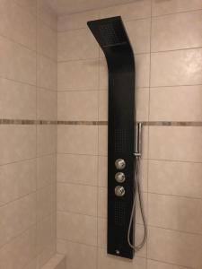een douche met een zwarte afstandsbediening in een badkamer bij B&B Typisch Lelies in Liessel