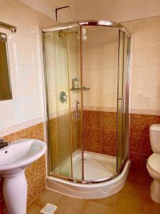 a bathroom with a shower and a sink and a toilet at Lavington Room1 in Nairobi