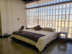 a bedroom with a large bed and large windows at Loft plata en excelente ubicación in San Luis Potosí