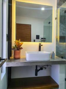 y baño con lavabo blanco y espejo. en Loft plata en excelente ubicación en San Luis Potosí