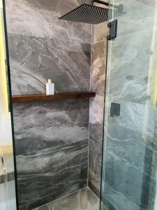 y baño con ducha y puerta de cristal. en Loft plata en excelente ubicación en San Luis Potosí