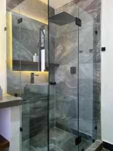 W łazience znajduje się prysznic ze szklanymi drzwiami. w obiekcie Loft plata en excelente ubicación w mieście San Luis Potosí