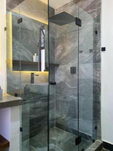 a shower with a glass door in a bathroom at Loft plata en excelente ubicación in San Luis Potosí