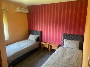 two beds in a small room with red walls at Hostel Grof in Mrčajevci