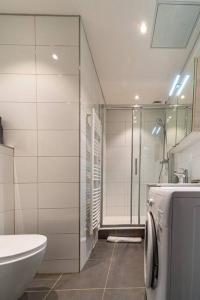 La salle de bains est pourvue d'une douche, d'un lavabo et de toilettes. dans l'établissement Coeur centre ville Grenoble - charme de l'ancien, à Grenoble