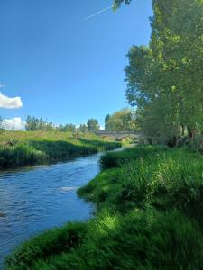 a river with green grass and a bridge in the background at Casa rural san juan in San Juan del Monte