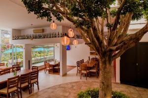 un restaurant avec un arbre, des tables et des chaises dans l'établissement Hotel La Querencia, à Río Verde