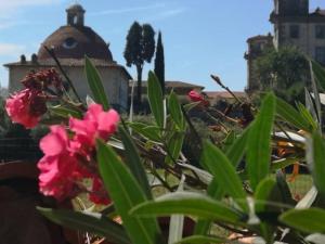 a plant with pink flowers in front of a building at Villa Artemisia in Borgo a Buggiano