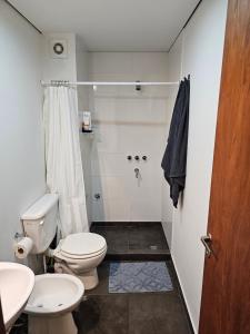 a bathroom with a toilet and a sink and a shower at Departamento PB en microcentro in San Salvador de Jujuy