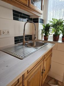 a kitchen with a sink and two potted plants at 2Schlafzimmer, Wohnküche&Balkon in Oberhausen