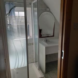 a bathroom with a shower and a sink at Traditional Cosy Cottage in Louisburgh